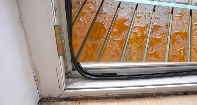Water Leaking Wooden Patio Doors Repair in Port Charlotte, FL
