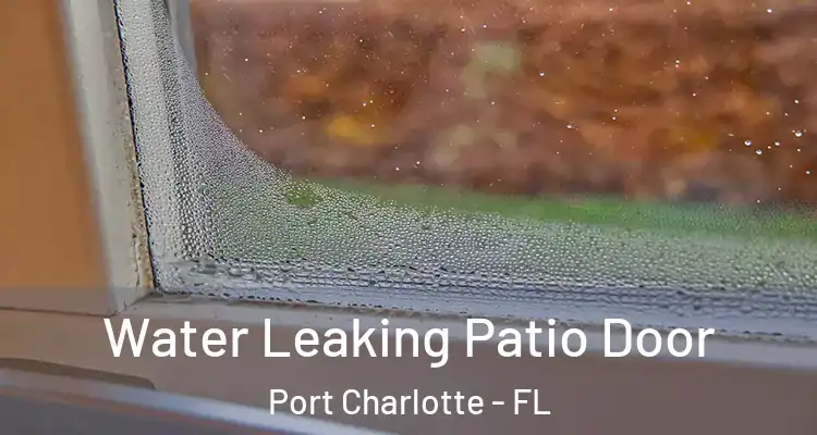  Water Leaking Patio Door Port Charlotte - FL